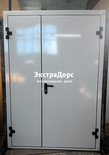 Противопожарная дверь EI 30 3 типа двупольная белая в Красногорске  купить