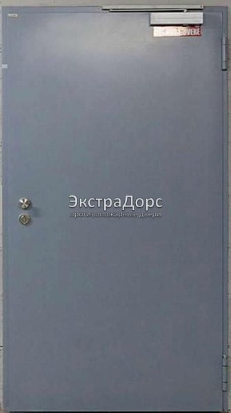 Противопожарная дверь однопольная дымогазонепроницаемая металлик в Красногорске  купить