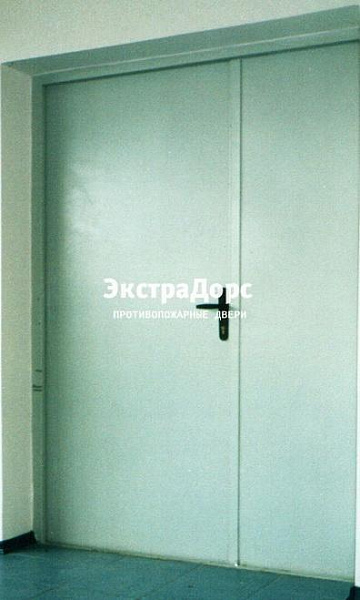 Противопожарная дверь двупольная белая без порога в Красногорске  купить