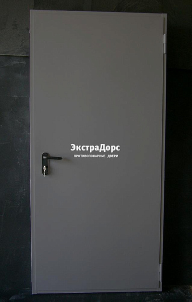Дверь металлическая противопожарная EI 60 ДПМ 2 типа серая в Красногорске  купить